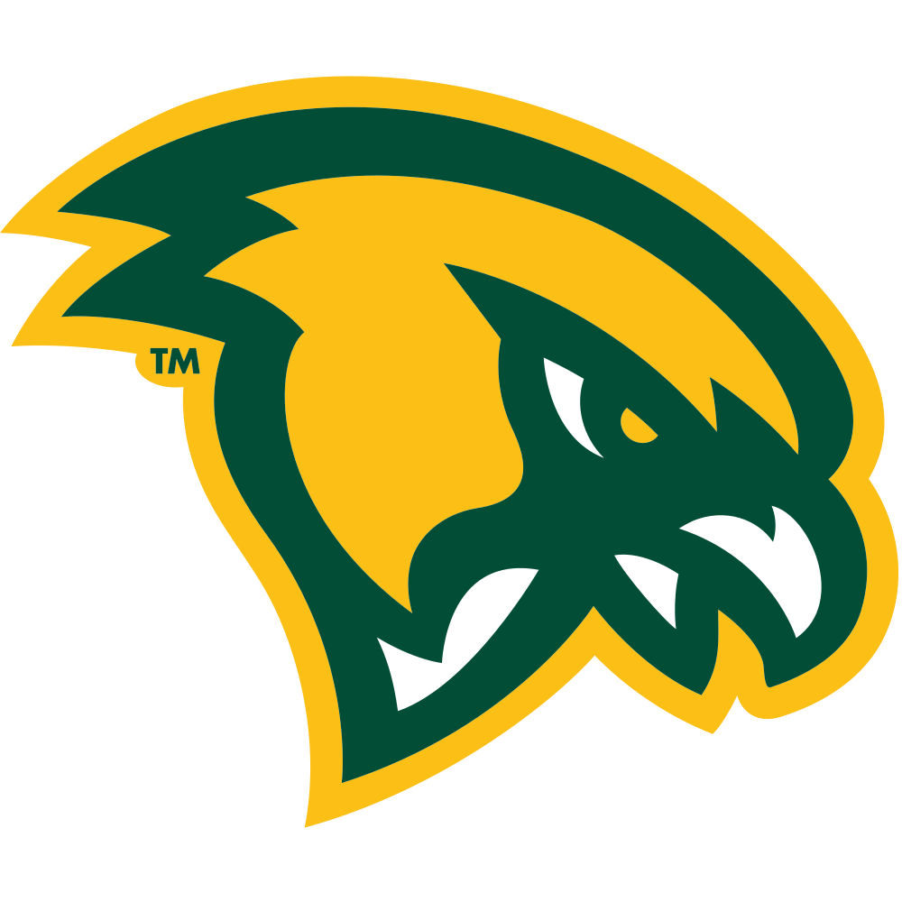 Fitchburg State University Falcons Colors
