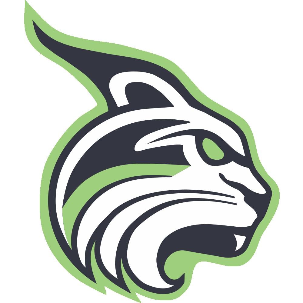 Lesley University Lynx Team Logo in JPG format