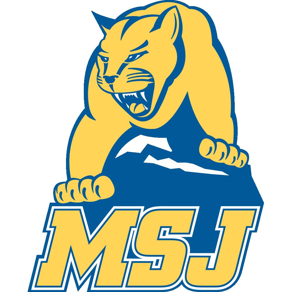 Mount St. Joseph University Lions Team Logo in JPG format