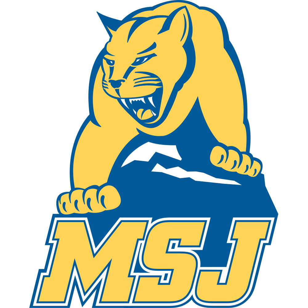 Mount St. Joseph University Lions Colors