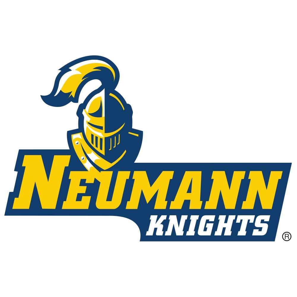 Neumann University Knights Team Logo in JPG format