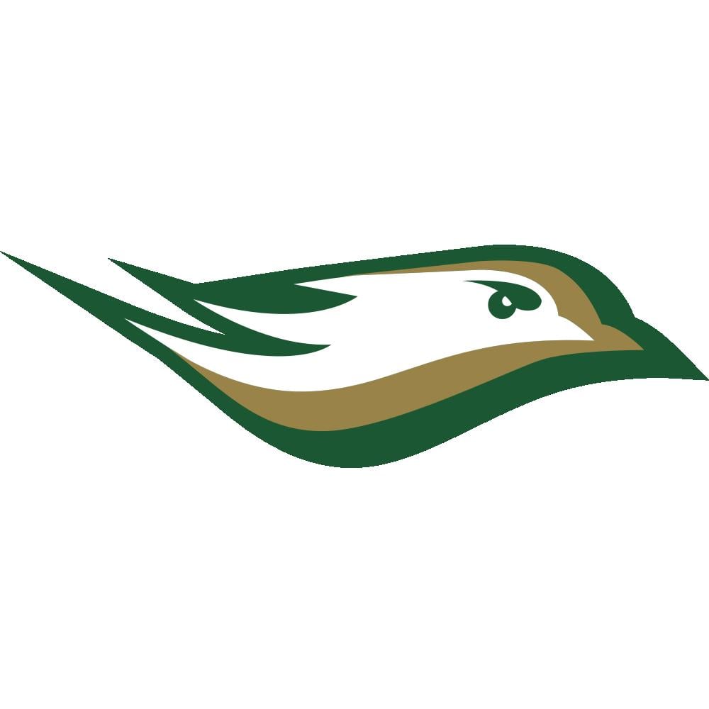 Newbury College Nighthawks Team Logo in JPG format