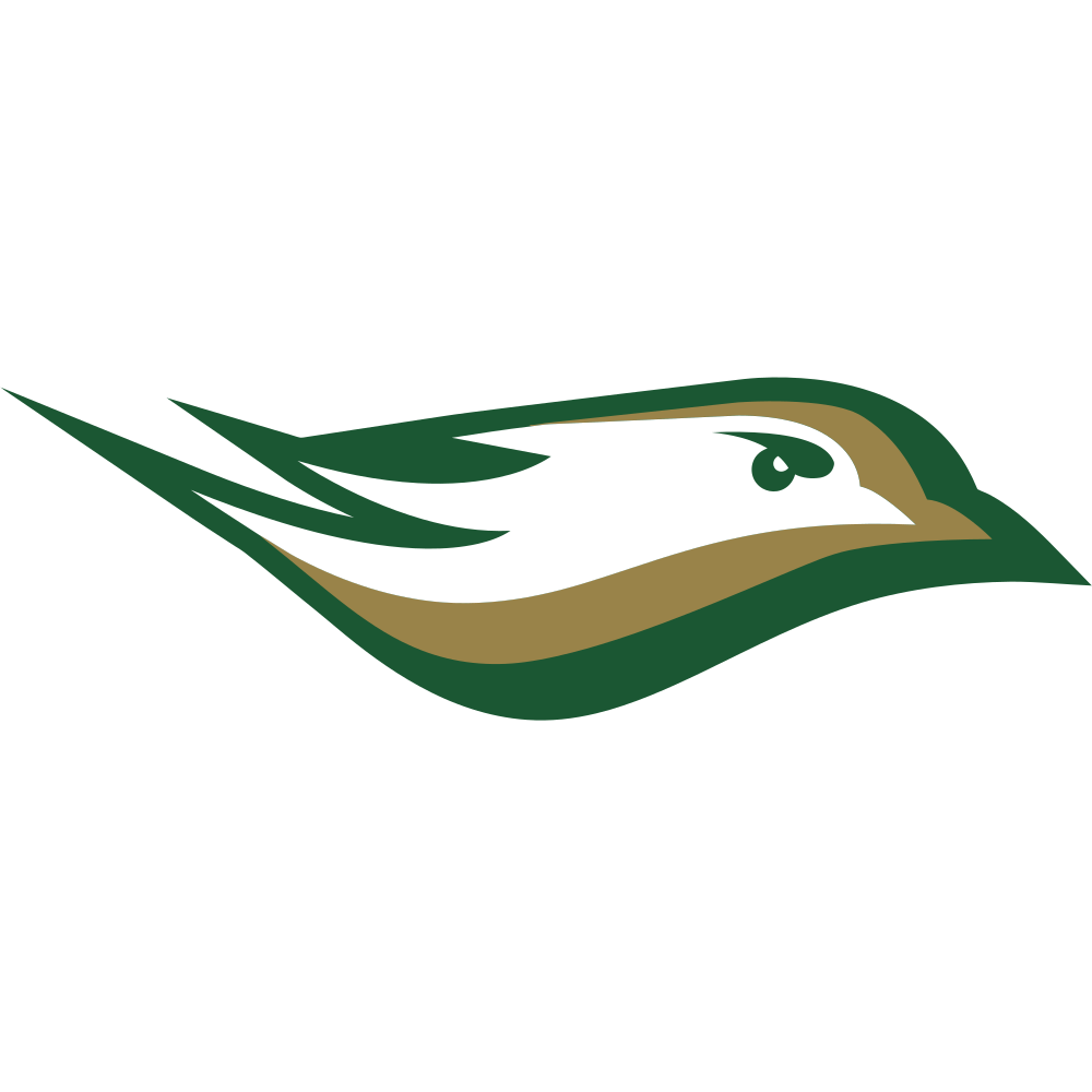 Newbury College Nighthawks Team Logo in PNG format