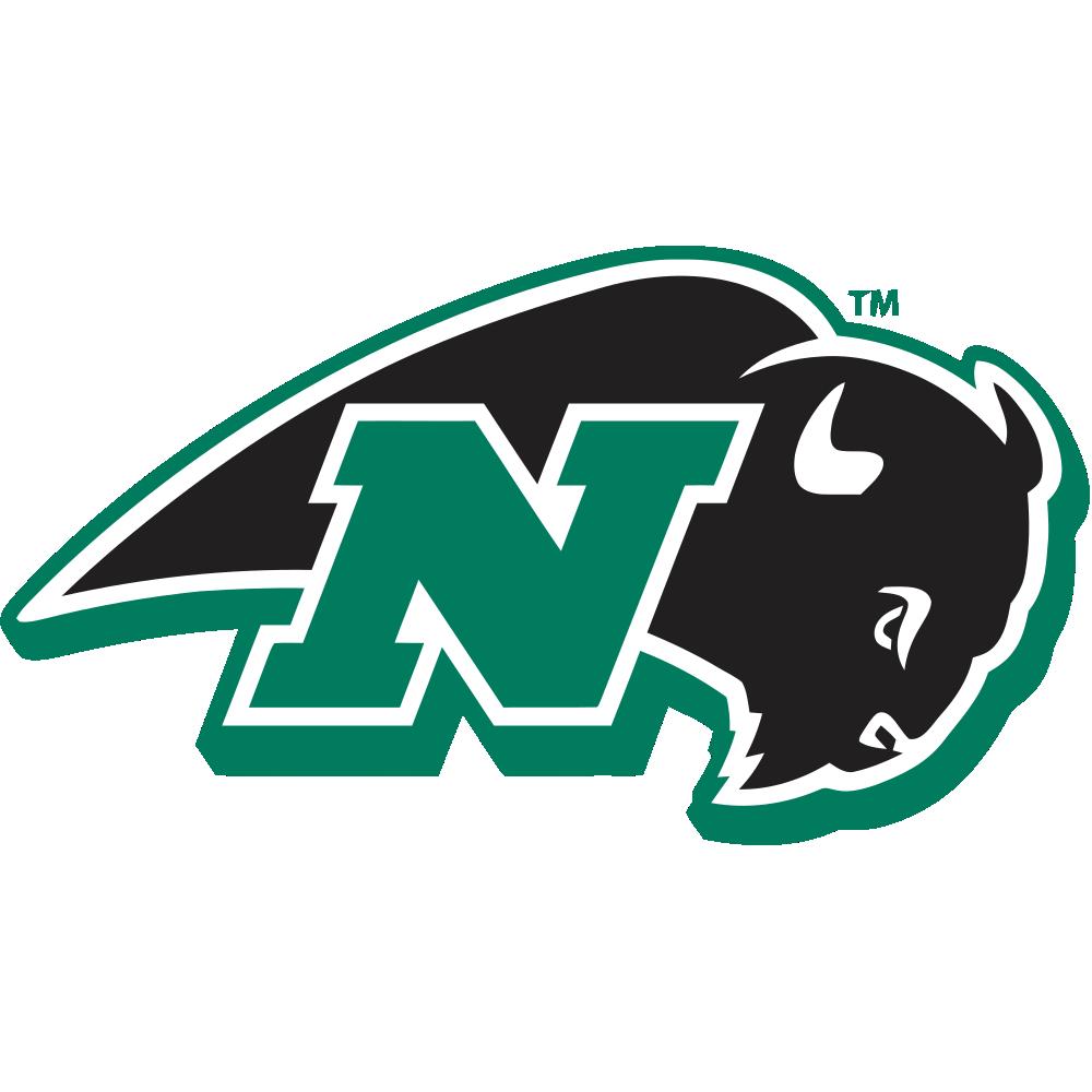 Nichols College Bison Team Logo in JPG format