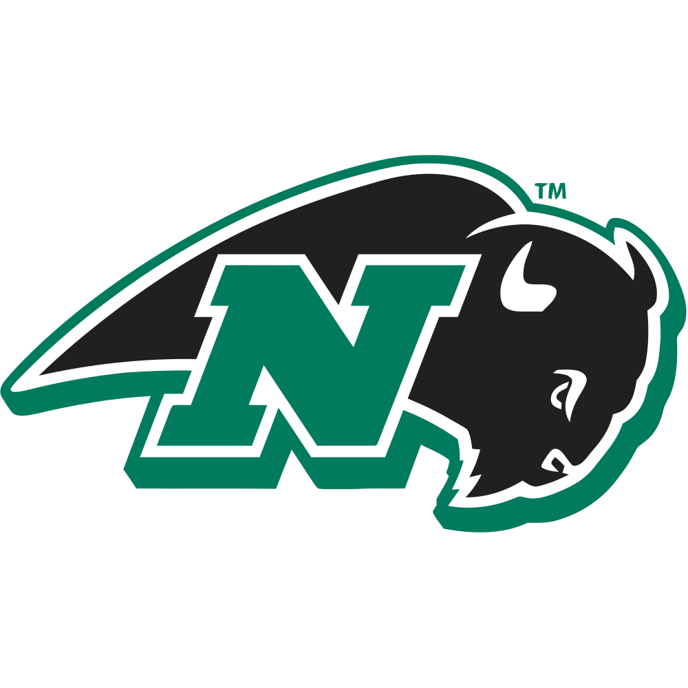 Nichols College Bison Team Logo in PNG format