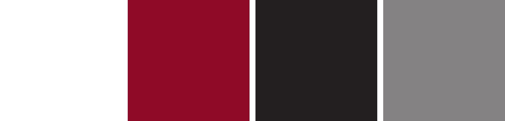 Ramapo College Roadrunners Color Palette Image