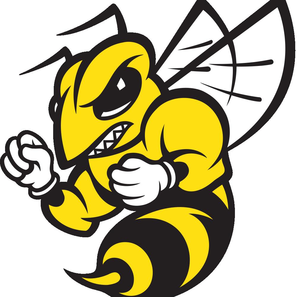 Randolph-Macon College Yellow Jackets Team Logo in JPG format