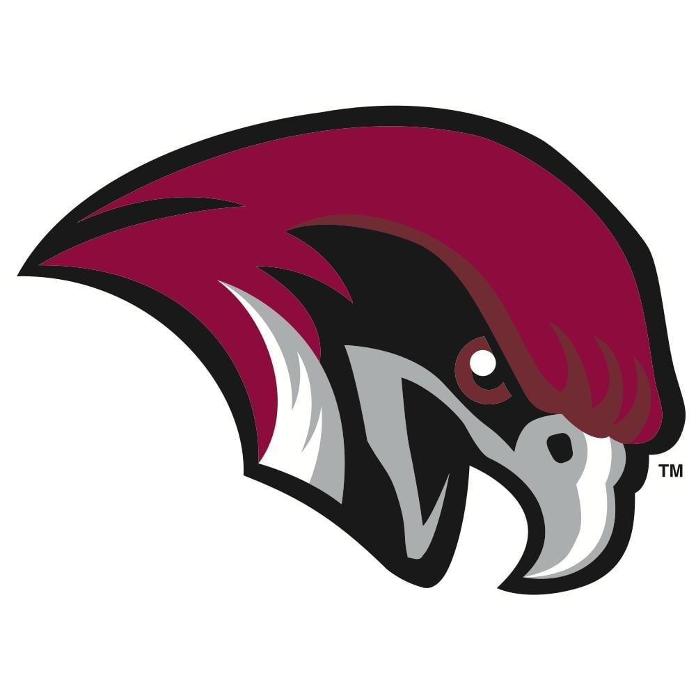 Roanoke College Maroons Team Logo in JPG format