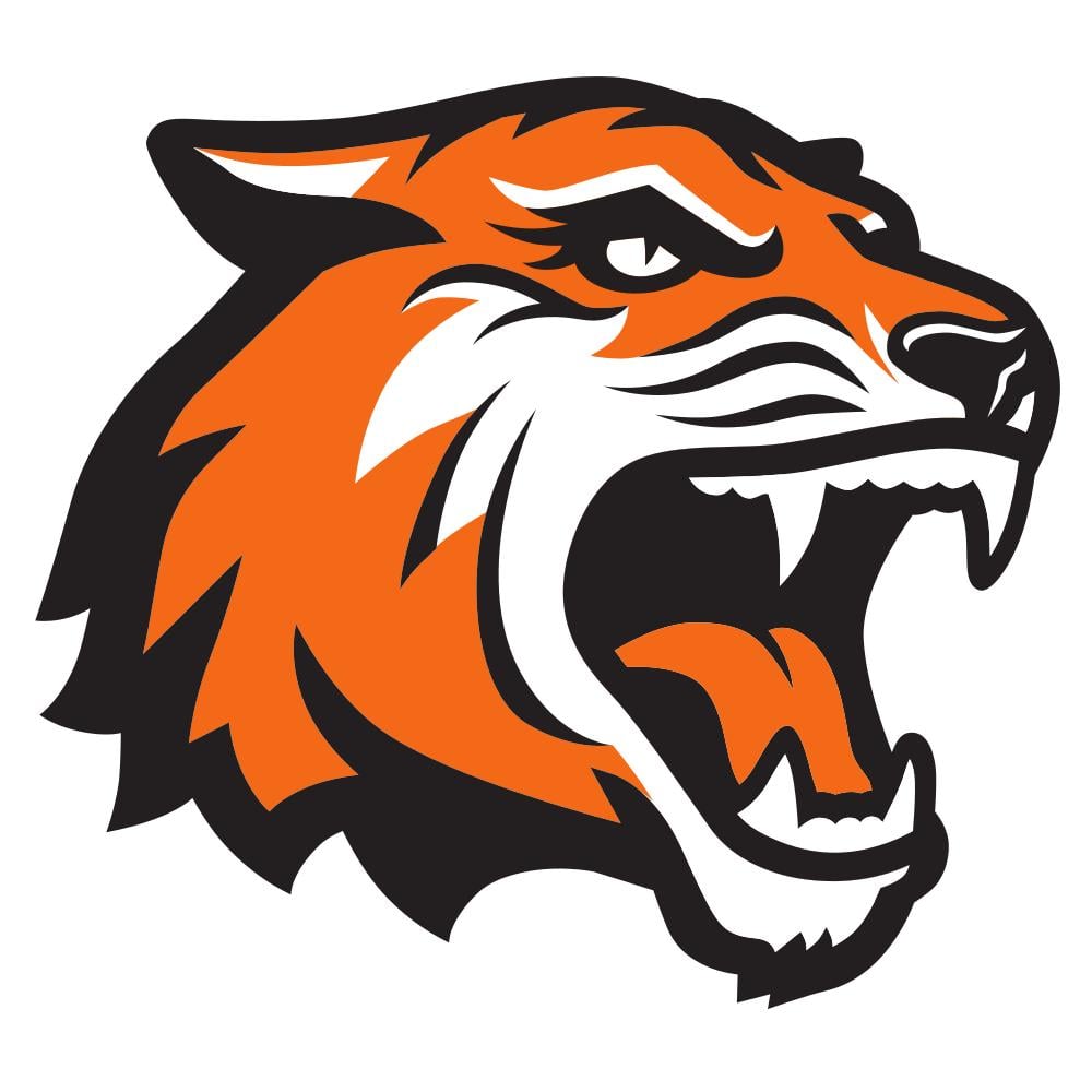 Rochester Institute of Technology Tigers Team Logo in JPG format