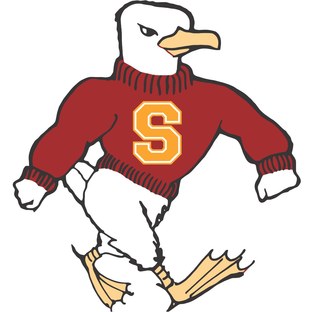 Salisbury University Sea Gulls Colors