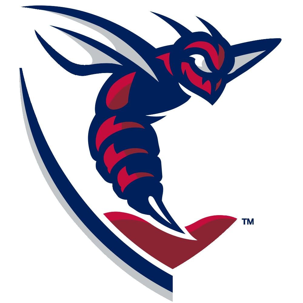 Shenandoah University Hornets Team Logo in JPG format
