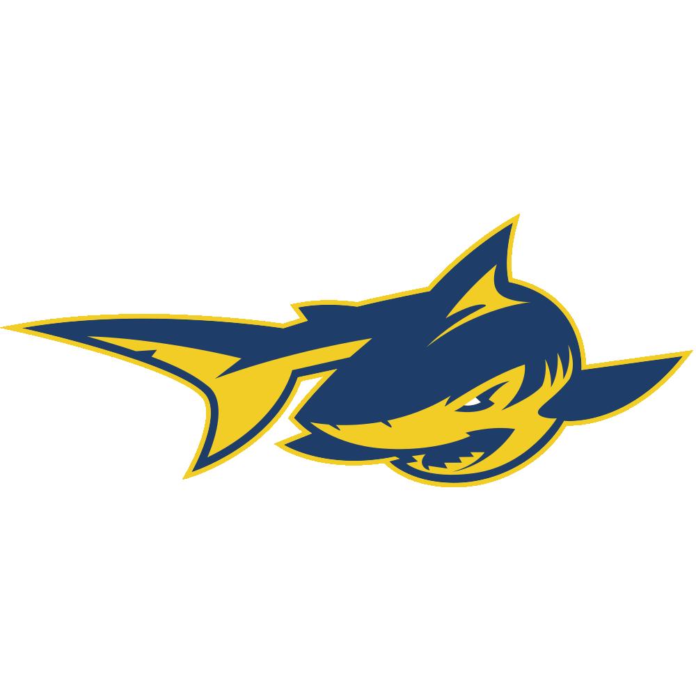 Simmons College Team Logo in JPG format