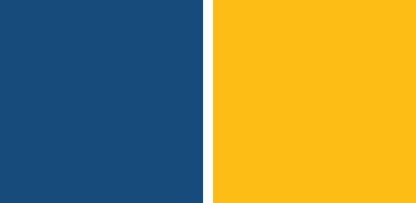The College of New Jersey Lions Color Palette Image