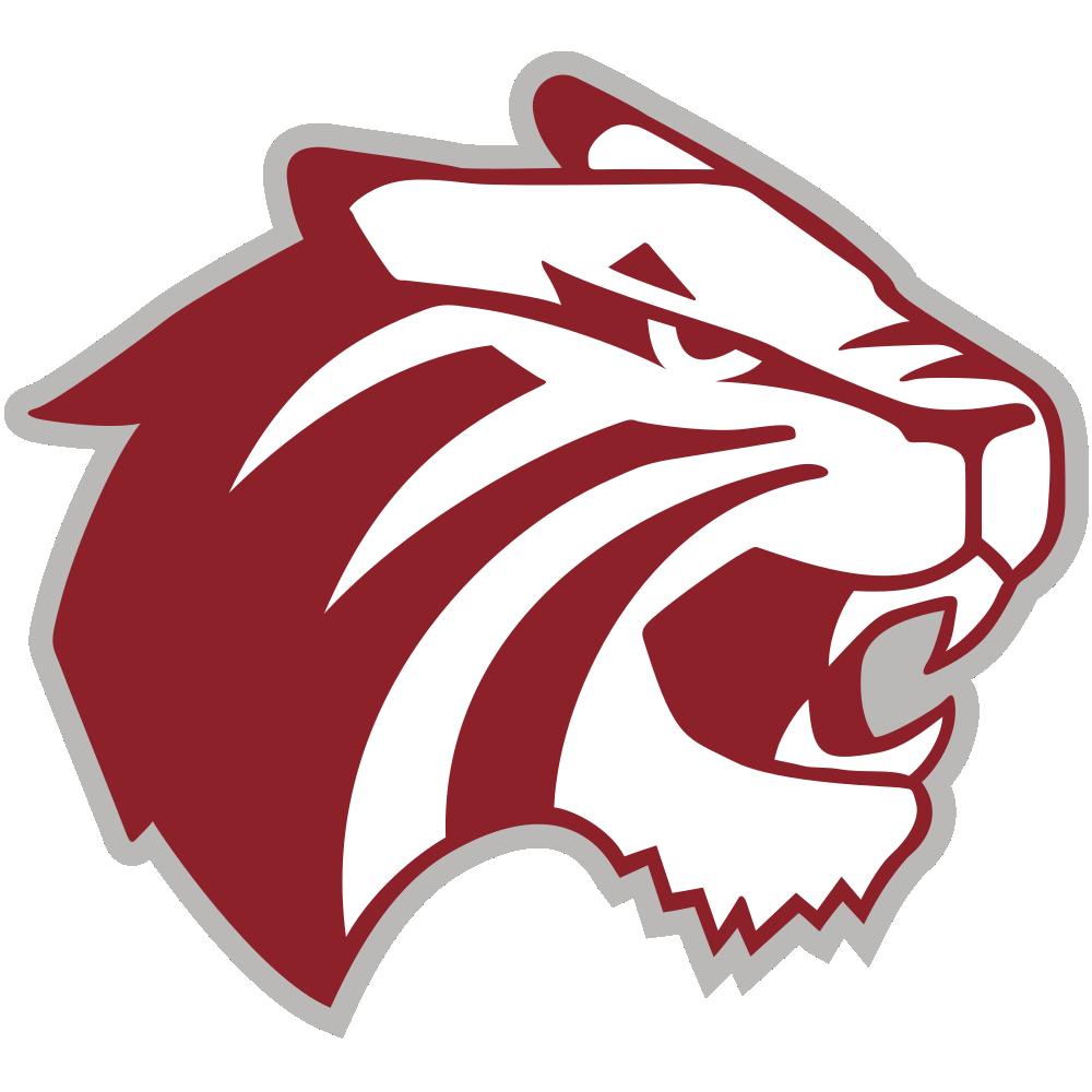 Trinity University (Texas) Tigers Team Logo in JPG format