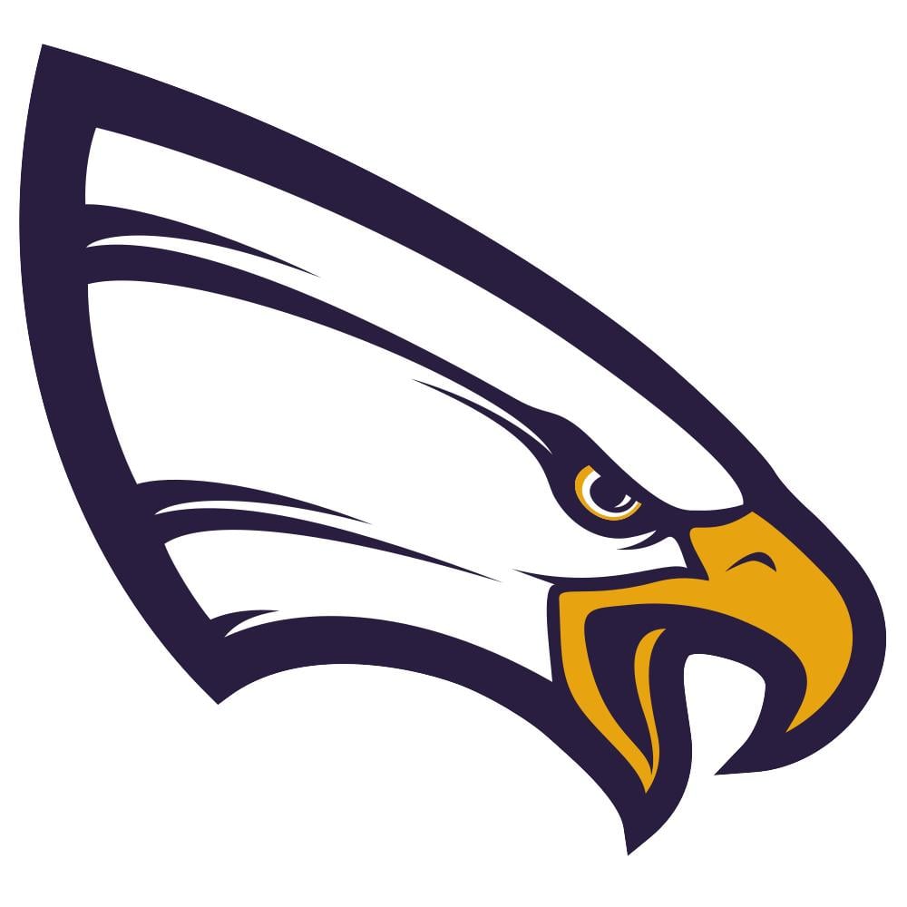 University of Northwestern-St. Paul Eagles Team Logo in JPG format