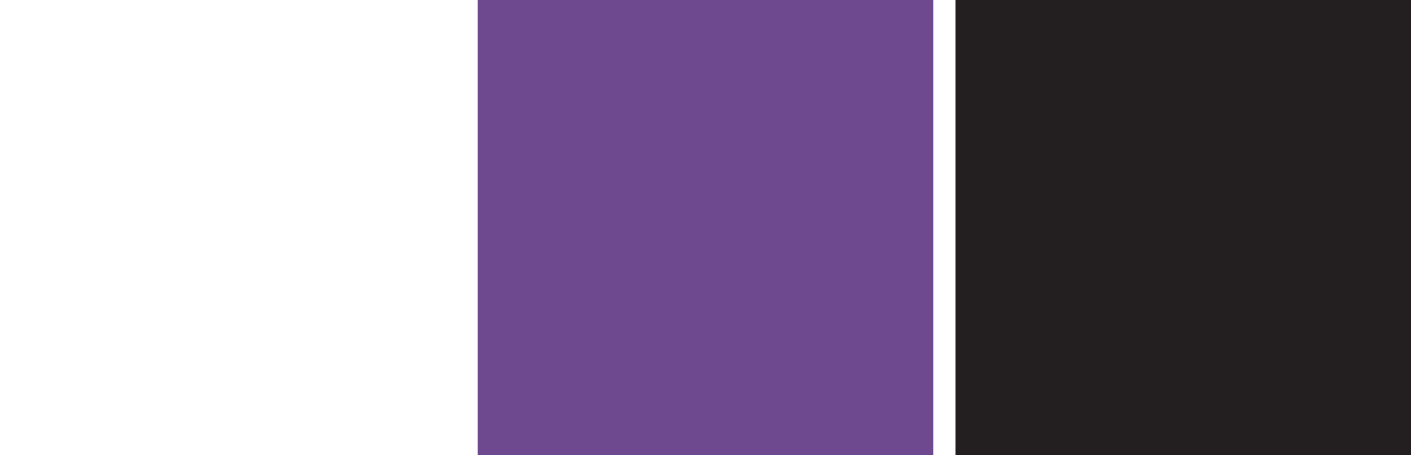 University of Scranton Royals Color Palette Image