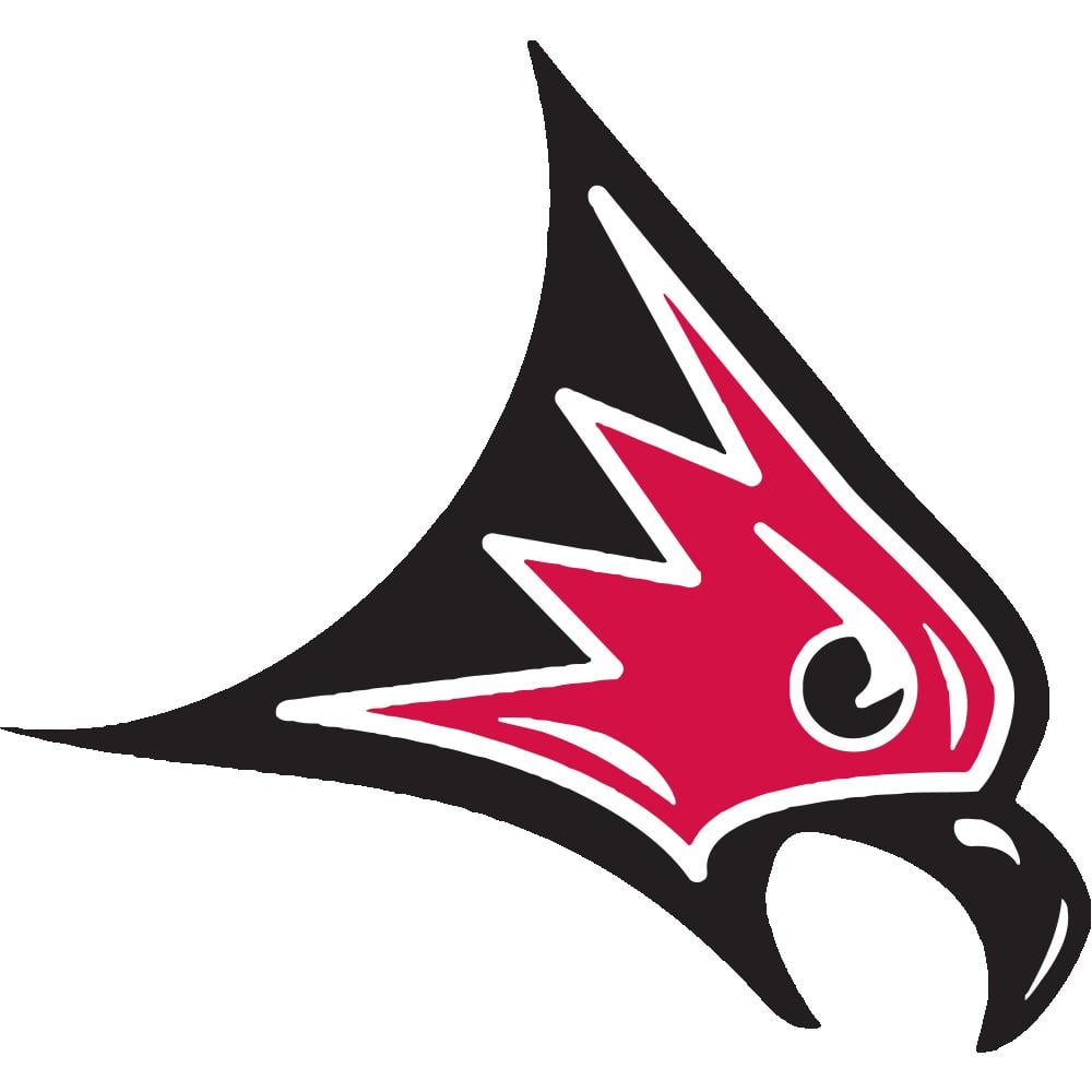 University of Wisconsin-River Falls Falcons Team Logo in JPG format