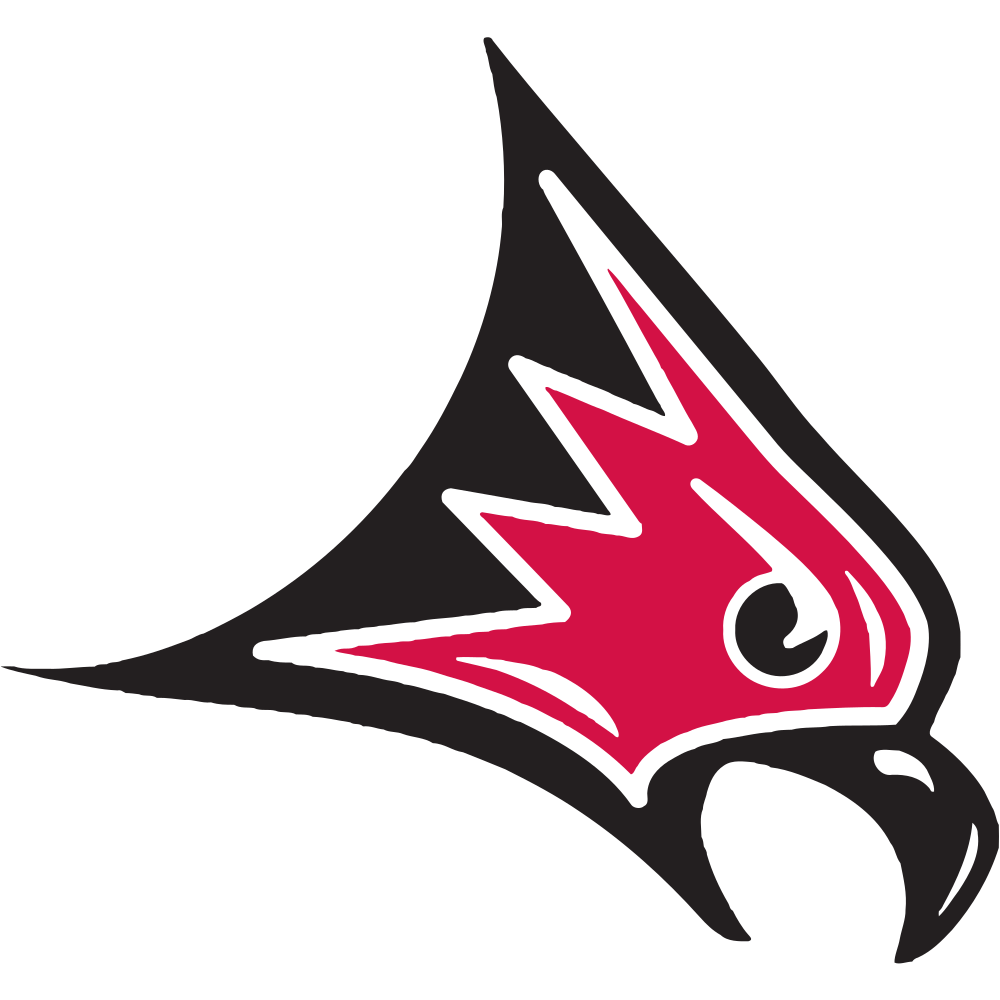 University of Wisconsin-River Falls Falcons Team Logo in PNG format