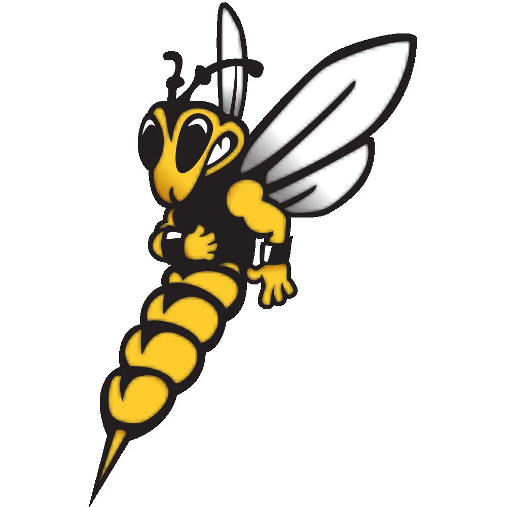 University of Wisconsin-Superior Yellowjackets Team Logo in JPG format