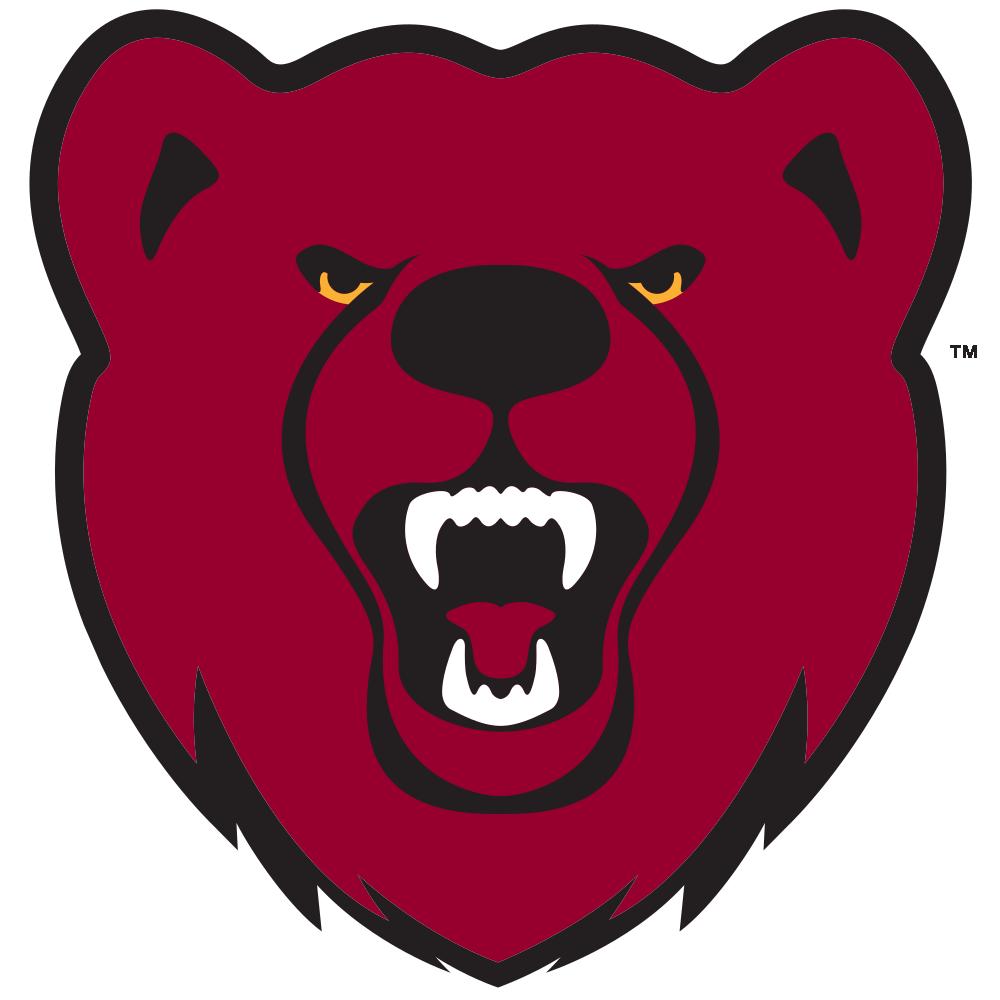 Ursinus College Bears Team Logo in JPG format