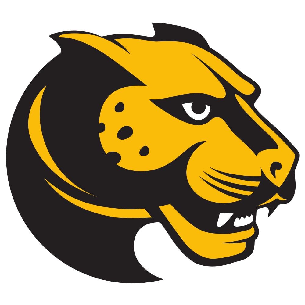 Wentworth Institute of Technology Leopards Team Logo in JPG format
