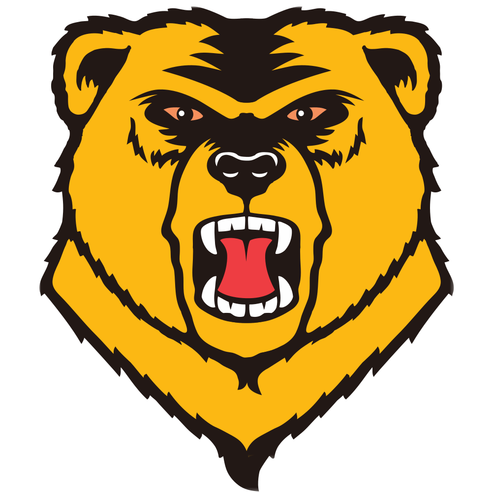 western-new-england-university-golden-bears-color-codes-hex-rgb-and