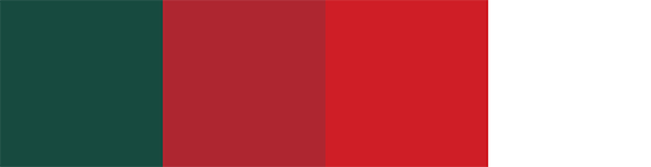Wales National Football Team Color Palette Image