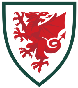 Wales National Football Team Colors