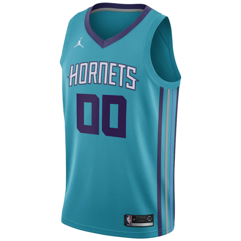 Charlotte Hornets Color Codes Hex, RGB, and CMYK - Team Color Codes