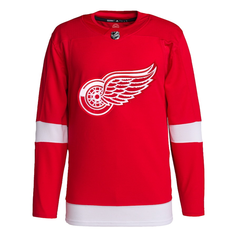 Detroit Red Wings Ice Hockey Paint By Numbers