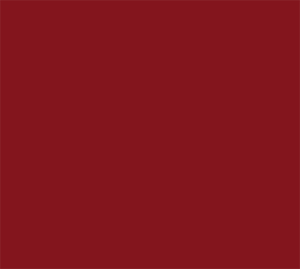 University of Wisconsin-La Crosse Eagles Color Palette Image