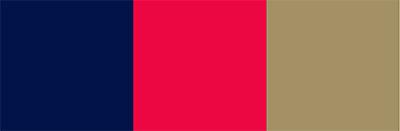 Scuderia Toro Rosso Color Palette Image