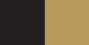 Team Lotus f1 Color Palette Image