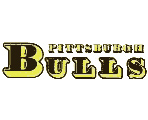 Pittsburgh Bulls logo in JPG format