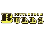 Pittsburgh Bulls logo in PNG format