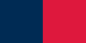 Dundee Stars Color Palette Image