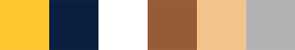 Erie Otters Color Palette Image