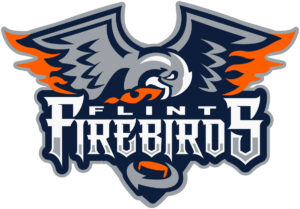 Flint Firebirds logo in JPG format