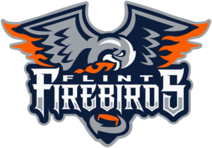 Flint Firebirds logo in PNG format