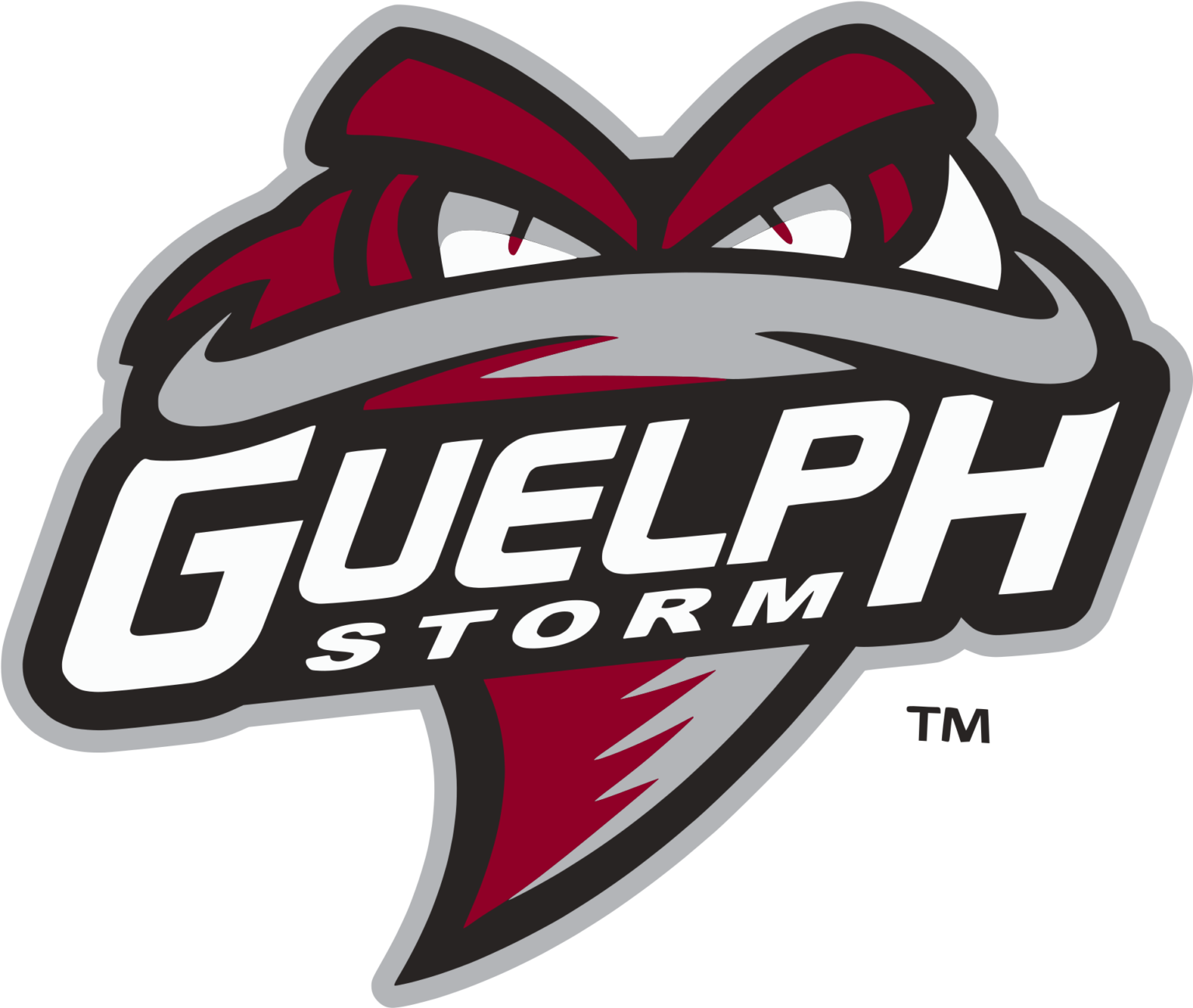 Guelph Storm Color Codes Hex, RGB, and CMYK Team Color Codes