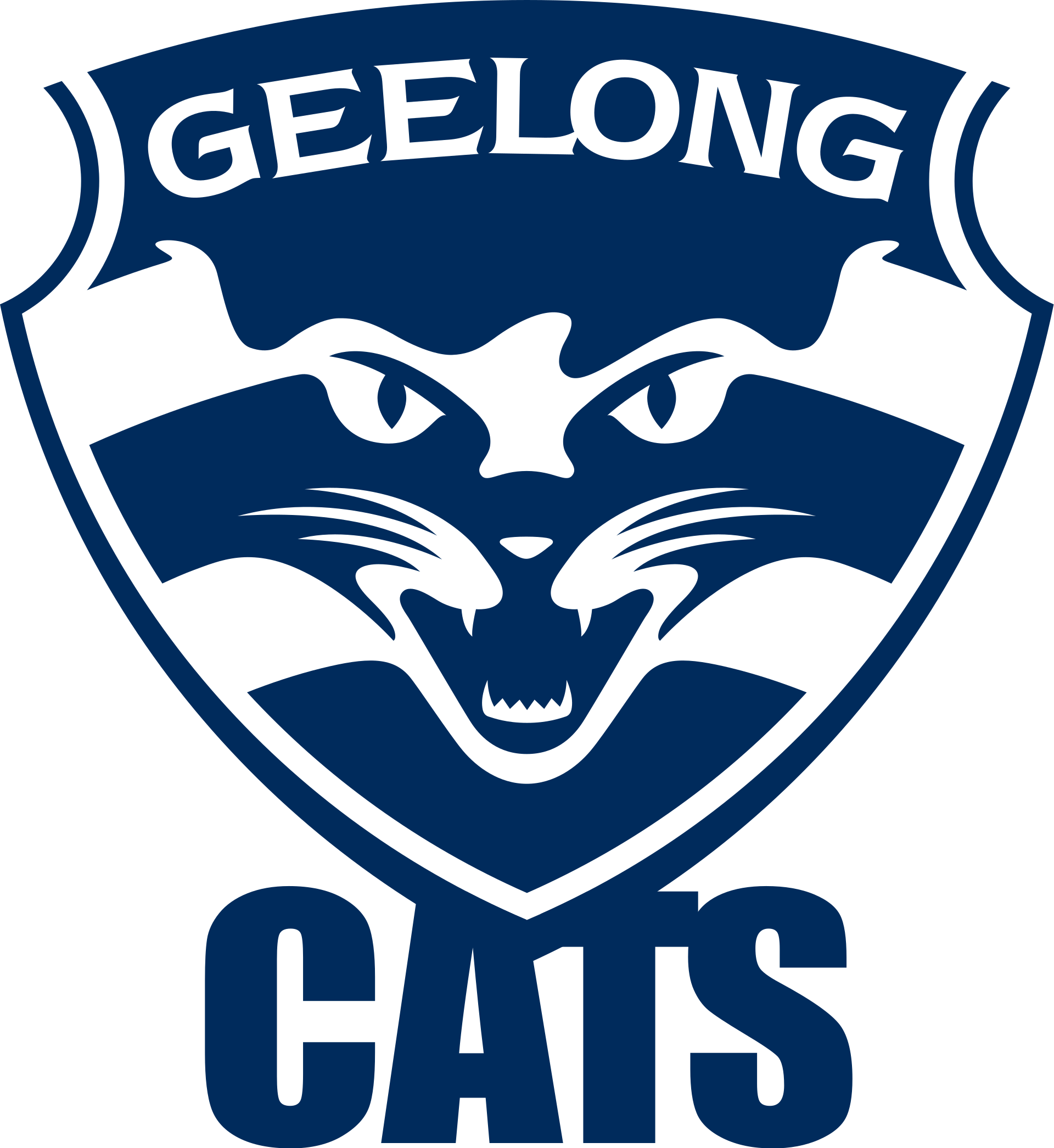 Geelong Football Club Color Codes Hex, RGB, and CMYK Team Color Codes