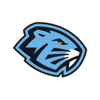 Dinamo-Shinnik Logo