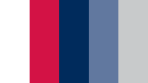 Melbourne Rebels Palette