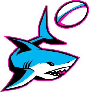 Miami Sharks Logo PNG format