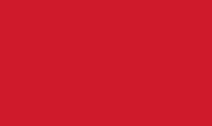 23xi racing team logo color palette