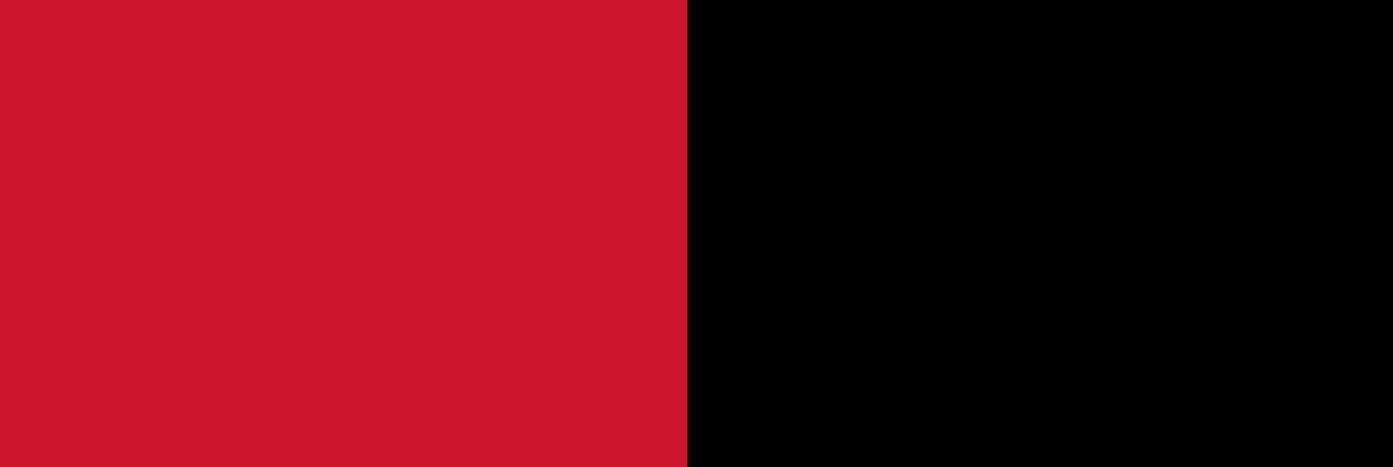 Haas Factory Team logo color palette