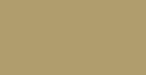 Legacy Motor Club logo color palette