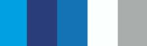 2 Seas Motrorsport color palette